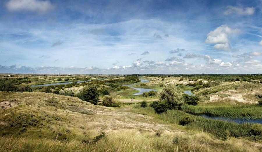 Amsterdamse Waterleidingduinen