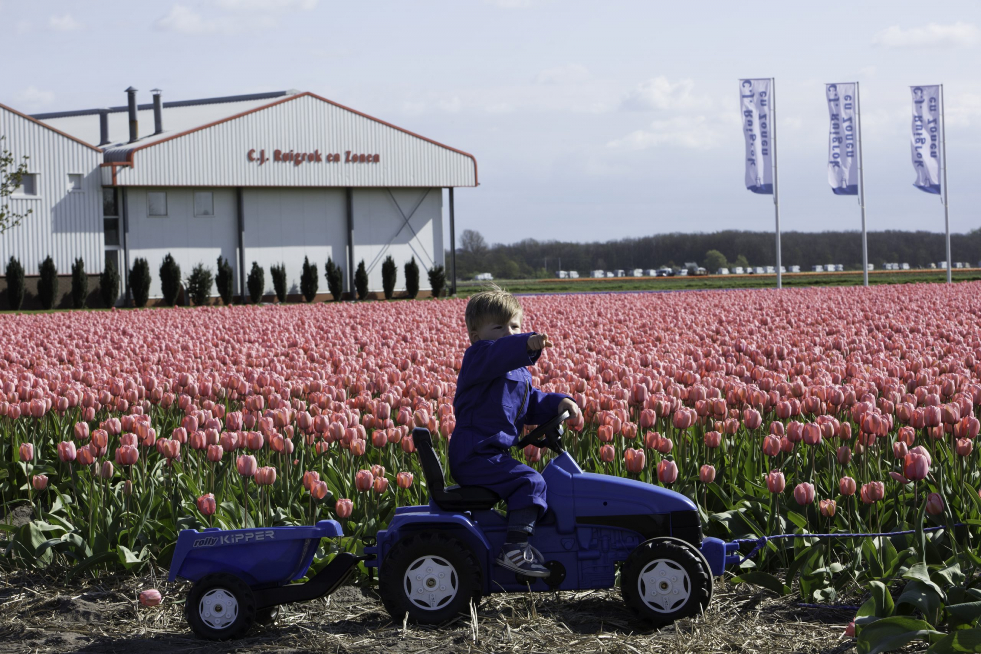 The Tulip Barn te Hillegom