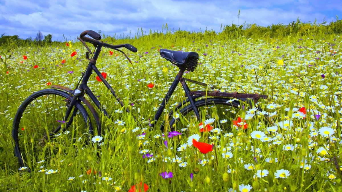 Wandelen en fietsen