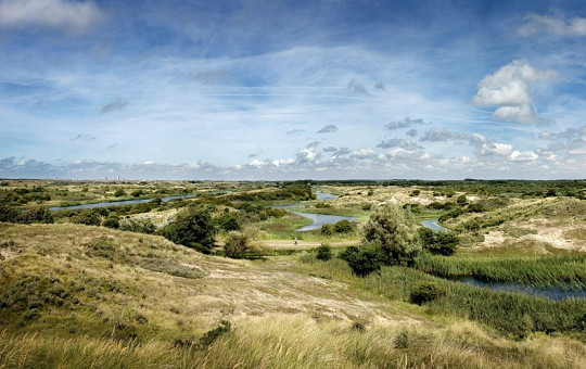 Amsterdamse Waterleidingduinen