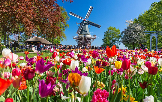 Keukenhof