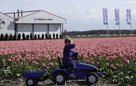 The Tulip Barn te Hillegom