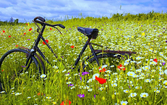 Wandelen en fietsen